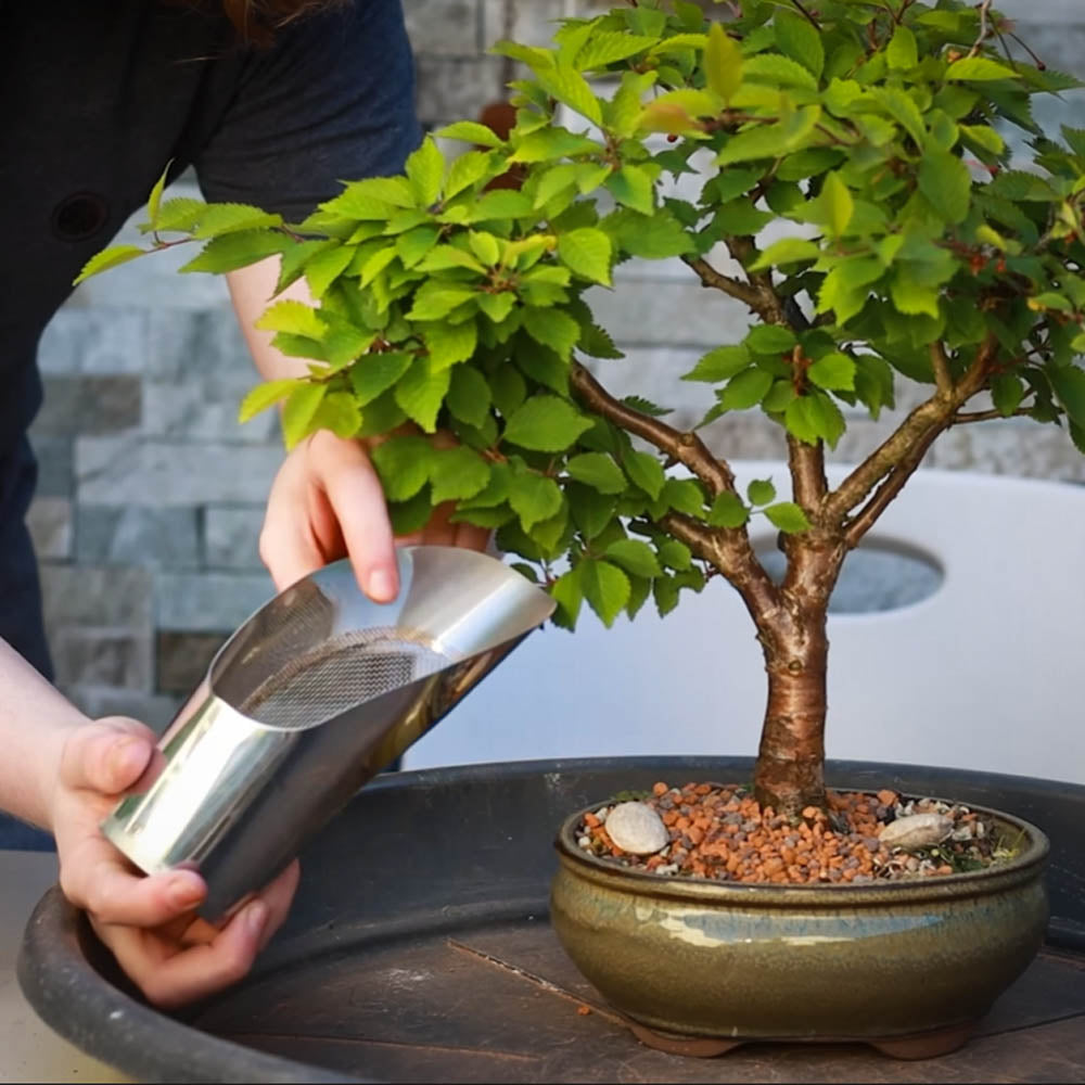 Bonsai Soil Scoop - Meshed Back