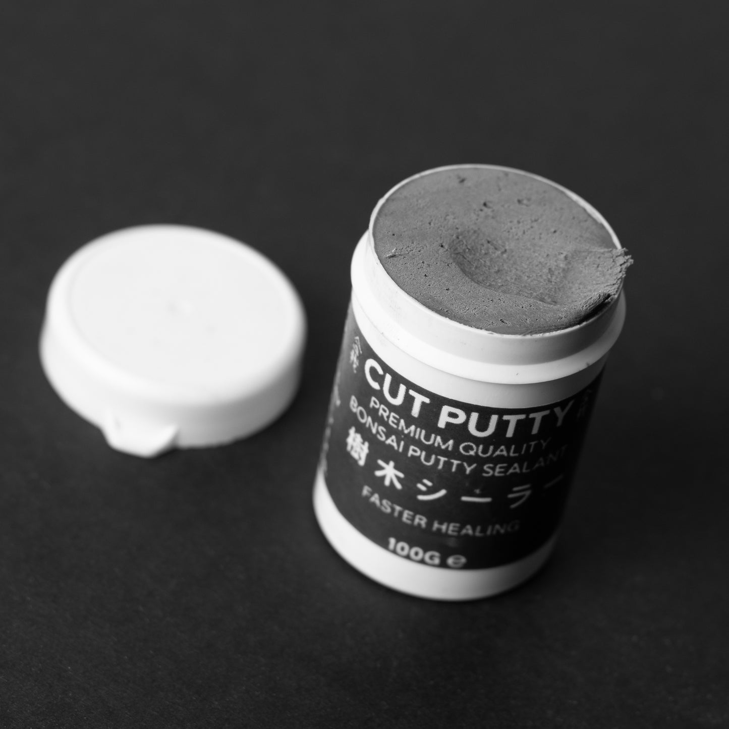 Bonsai Cut Putty / Wound Sealant - 100g Grey & Brown