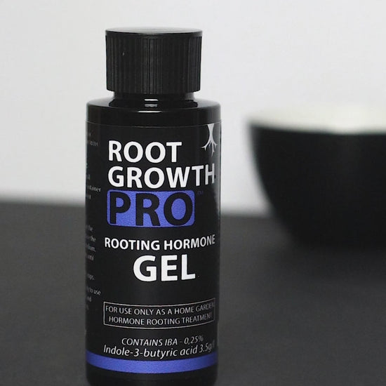 Rooting Hormone Gel with IBA, RootGrowthPRO, Rooting Gel Demonstration